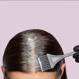 Roots & Blowout  Subscription 