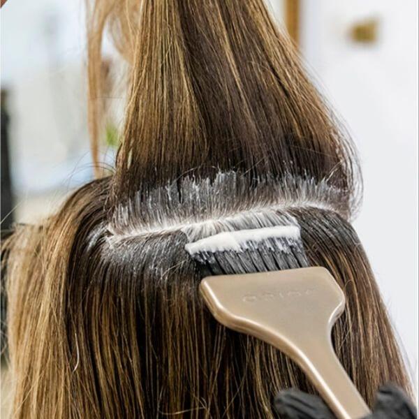 Stay Ready Root Package 