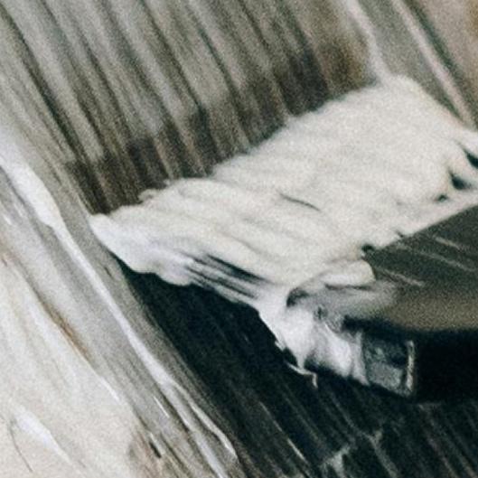 Essential Root Renewal Membership